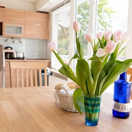 Lägenhet Terrassenhaus Fichtentraum Im Harz Mit Schwimmbad *