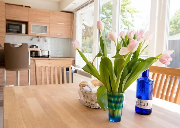 公寓 Terrassenhaus Fichtentraum Im Harz Mit Schwimmbad *