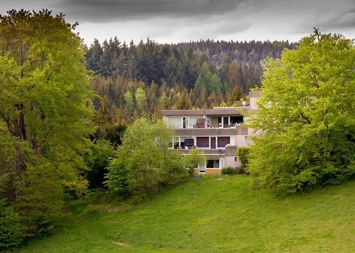 Terrassenhaus Fichtentraum Im Harz Mit Schwimmbad *