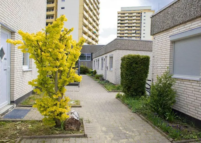 公寓 Terrassenhaus Fichtentraum Im Harz Mit Schwimmbad